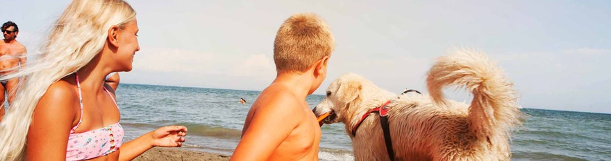 Dog-friendly beaches in Lignano