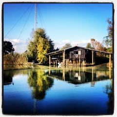 219