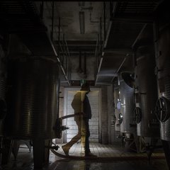 Qui coltivavamo le viti già dal 1982, ma nel maggio 2023 c'è stato un nuovo radioso inizio: Luca e Andrea Cisorio hanno deciso di intraprendere la grande avventura della gestione della vecchia cantina del borgo, fondendo assieme tradizione e innovazione.