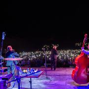 D5D_0646-min