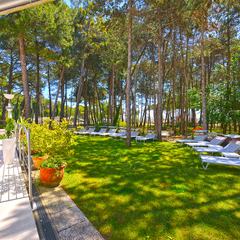 Hotel Colorado Lignano - Pineta