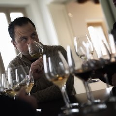 Vi seguiamo in Degustazioni guidate.