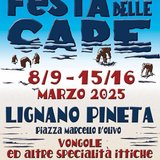 Festa delle cape