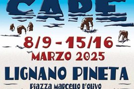 Festa delle cape