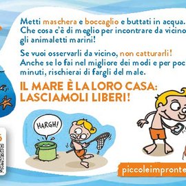 Il mare è la loro casa