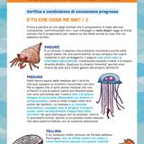 MARE_2024_SCHEDE_PRIMARIE_ok1_page-0001