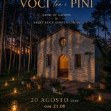 Voci tra i pini