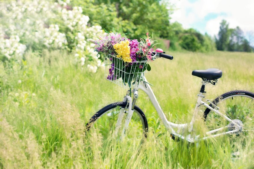 bike-grass