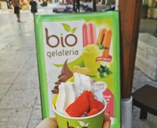 biogelateria