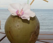 Coconut at Tropical Point in Lignano