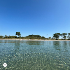 isola delle conchiglie