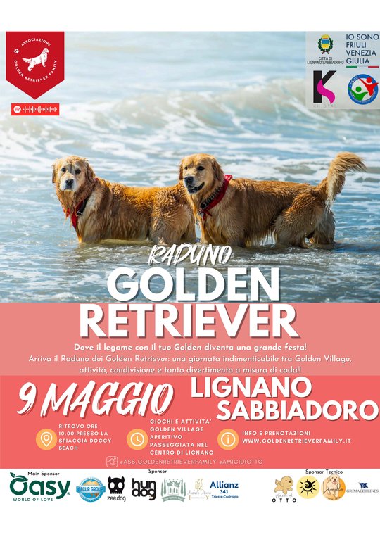 Raduno Golden Retriever