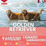 raduno golden retriever lignano 2026