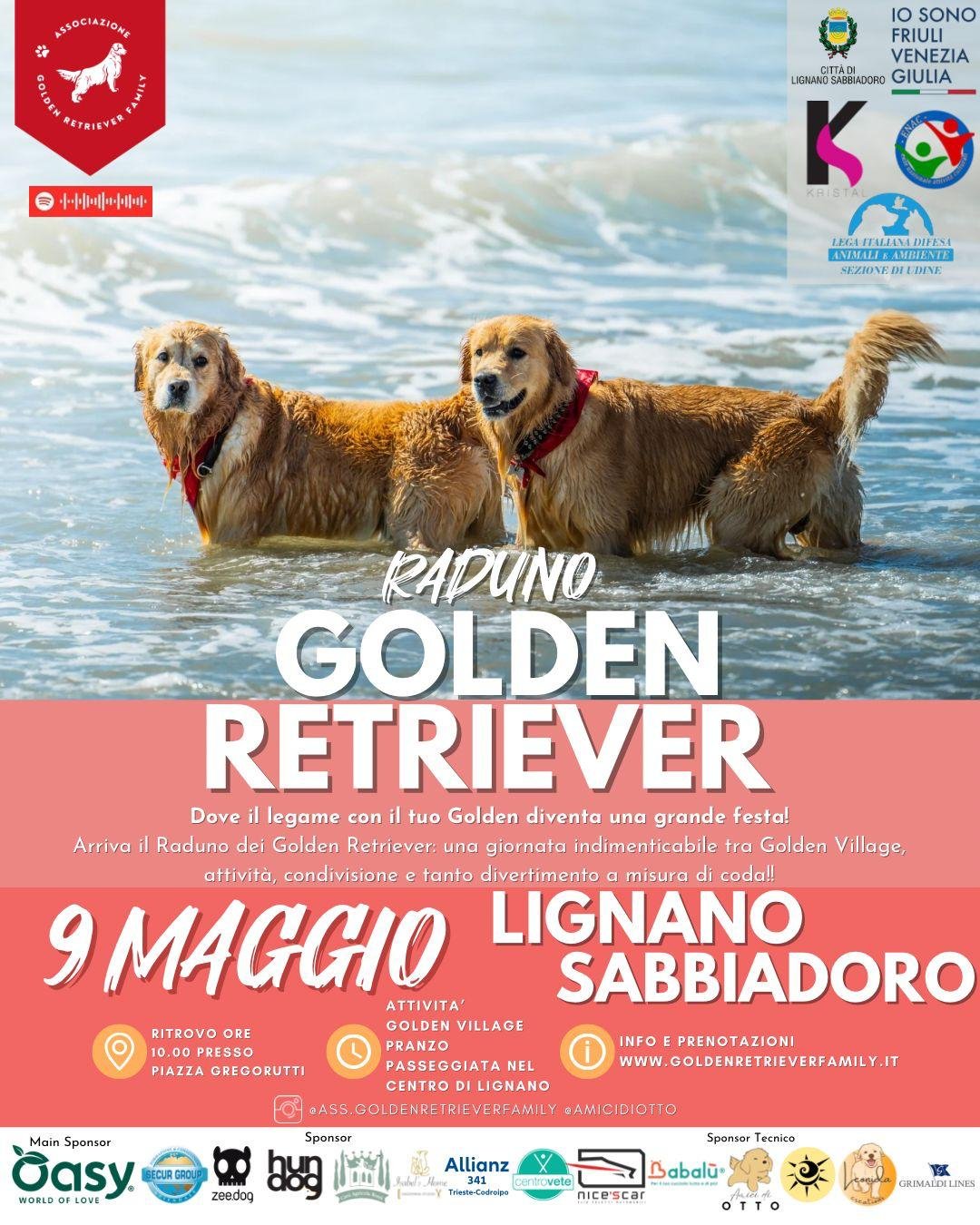 raduno golden retriever lignano 2026