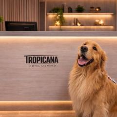 Pet friendly hotel