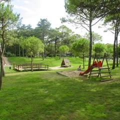 The greenery of Hemingway Park in Lignano 