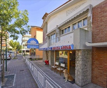 Arena Agency in Lignano Sabbiadoro