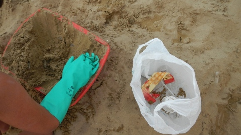 Umwelterziehung am Strand