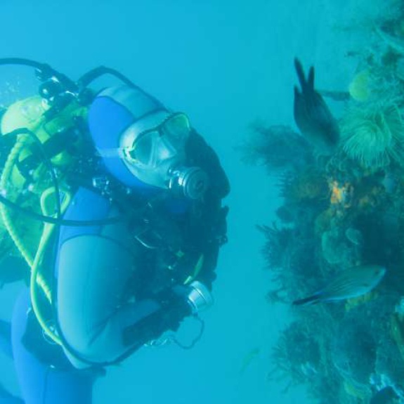 Mister Blu Diving Courses