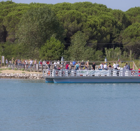 Picture ofX River - Cycle and pedestrian ferry on the Tagliamento river